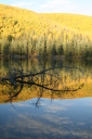 autumn beaver pond